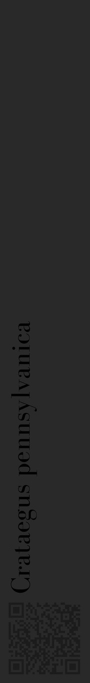 Étiquette de : Crataegus pennsylvanica - format c - style noire34_basique_basiquebod avec qrcode et comestibilité - position verticale