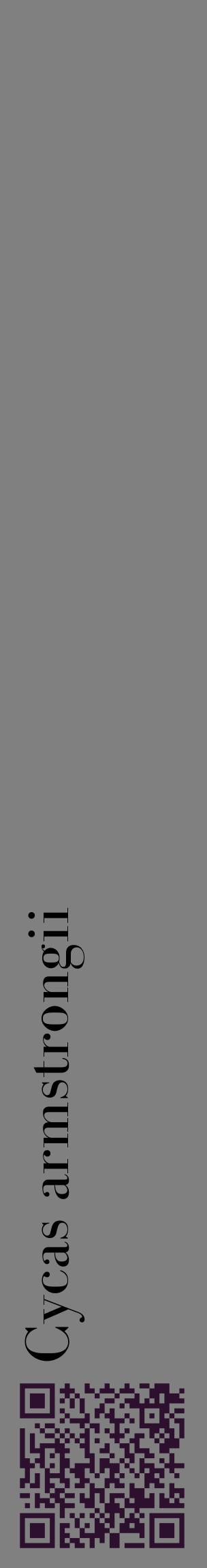 Étiquette de : Cycas armstrongii - format c - style noire57_basiquebod avec qrcode et comestibilité