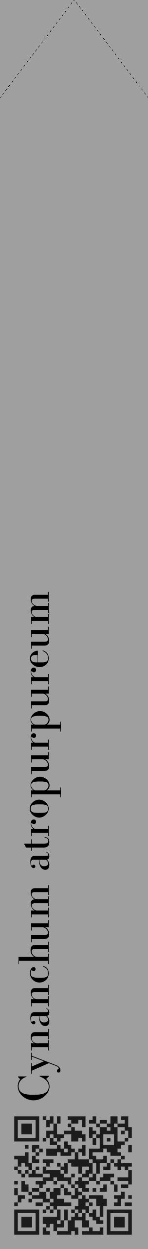 Étiquette de : Cynanchum atropurpureum - format c - style noire24_simple_simplebod avec qrcode et comestibilité - position verticale