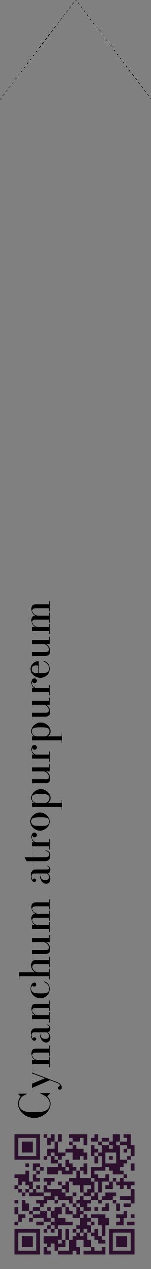 Étiquette de : Cynanchum atropurpureum - format c - style noire57_simplebod avec qrcode et comestibilité