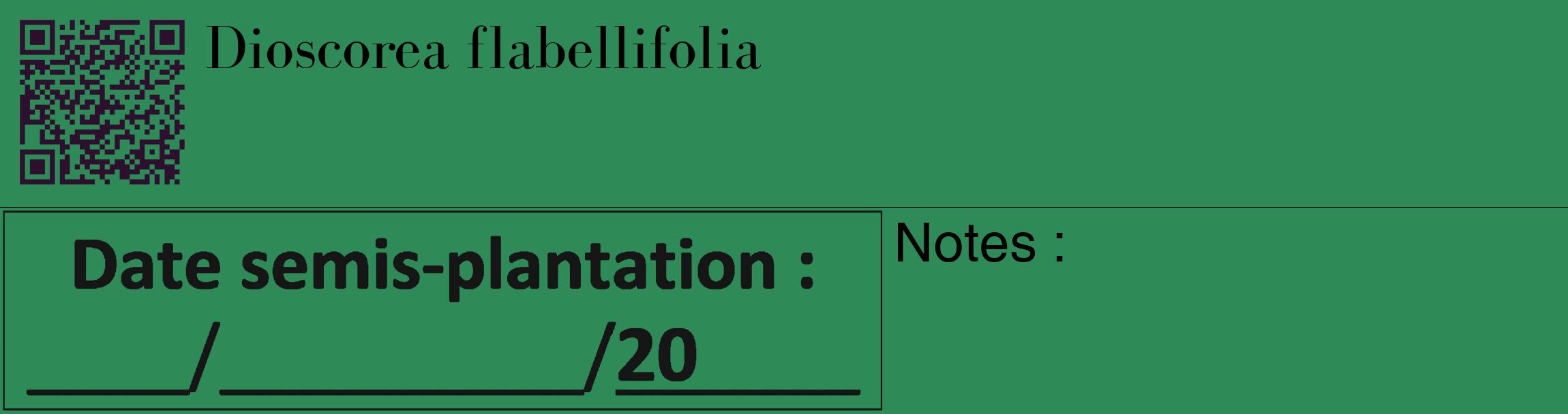 Étiquette de : Dioscorea flabellifolia - format c - style noire11_basique_basiquebod avec qrcode et comestibilité