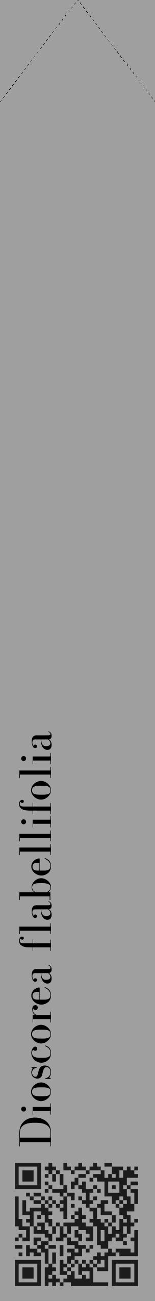 Étiquette de : Dioscorea flabellifolia - format c - style noire24_simple_simplebod avec qrcode et comestibilité - position verticale