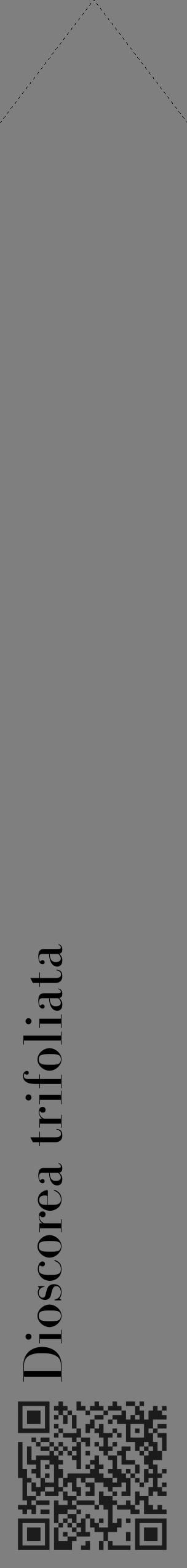 Étiquette de : Dioscorea trifoliata - format c - style noire31_simple_simplebod avec qrcode et comestibilité - position verticale