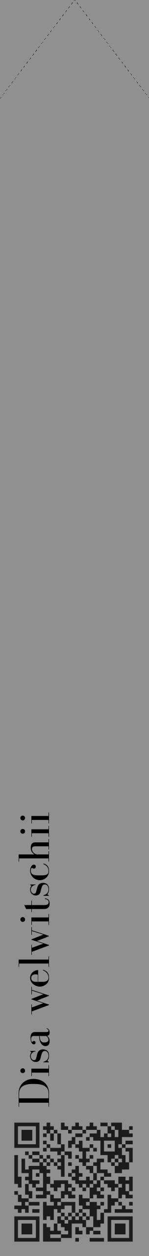 Étiquette de : Disa welwitschii - format c - style noire4_simple_simplebod avec qrcode et comestibilité - position verticale