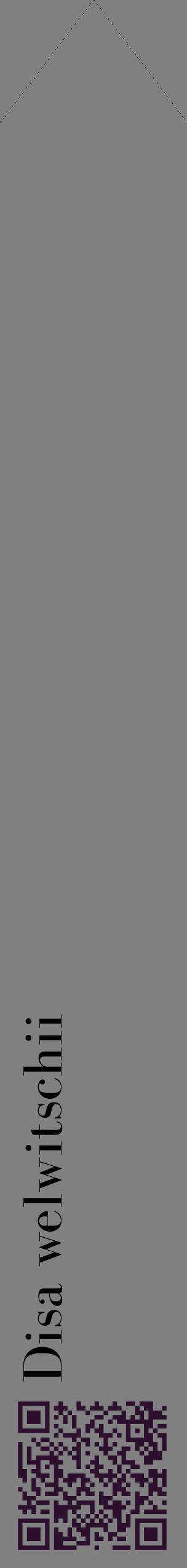 Étiquette de : Disa welwitschii - format c - style noire57_simplebod avec qrcode et comestibilité