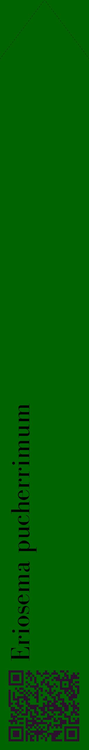 Étiquette de : Eriosema pucherrimum - format c - style noire8_simplebod avec qrcode et comestibilité
