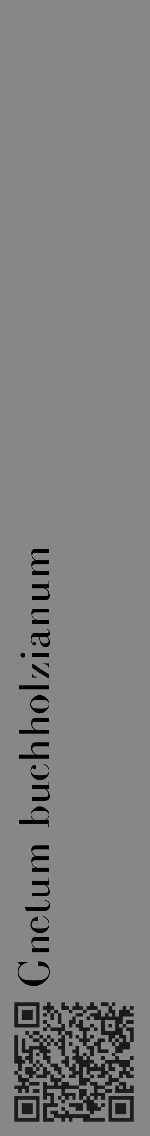 Étiquette de : Gnetum buchholzianum - format c - style noire12_basique_basiquebod avec qrcode et comestibilité - position verticale