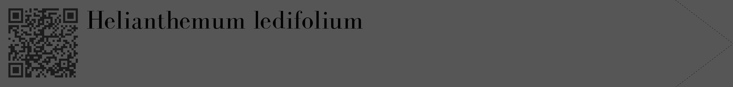 Étiquette de : Helianthemum ledifolium - format c - style noire45_simple_simplebod avec qrcode et comestibilité