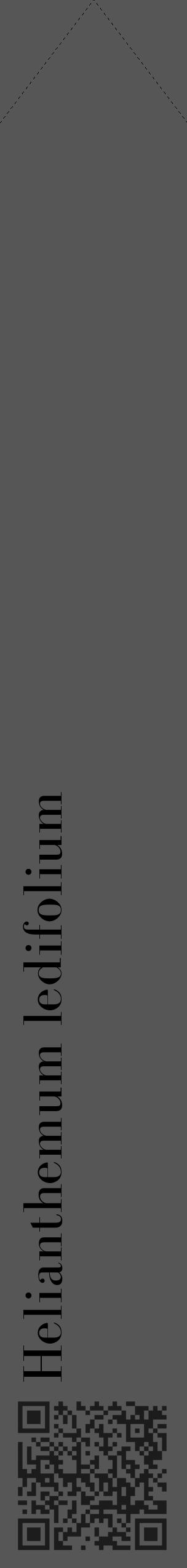 Étiquette de : Helianthemum ledifolium - format c - style noire45_simple_simplebod avec qrcode et comestibilité - position verticale