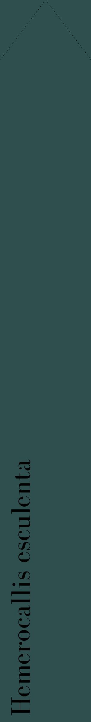 Étiquette de : Hemerocallis esculenta - format c - style noire58_simplebod avec comestibilité