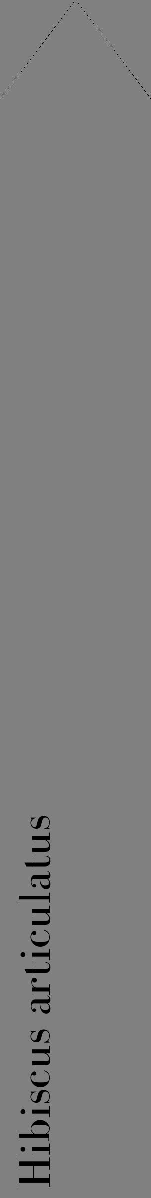 Étiquette de : Hibiscus articulatus - format c - style noire57_simplebod avec comestibilité