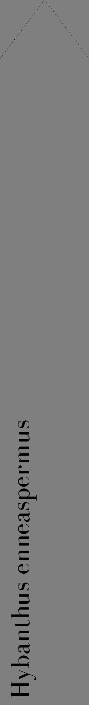 Étiquette de : Hybanthus enneaspermus - format c - style noire31_simple_simplebod avec comestibilité - position verticale