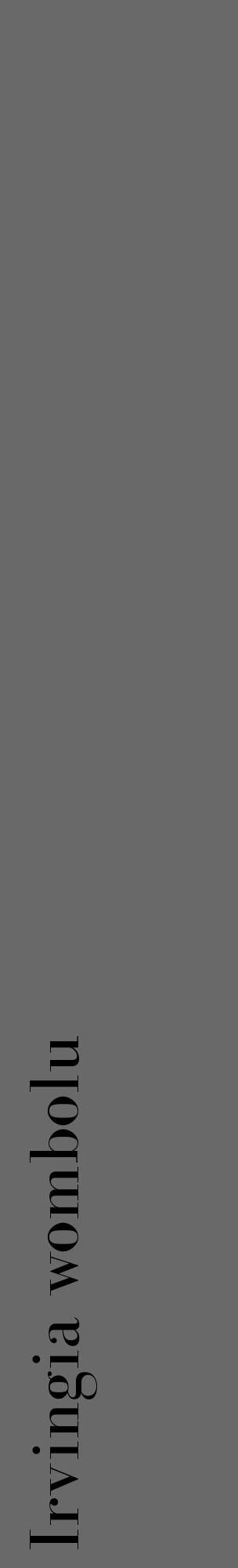 Étiquette de : Irvingia wombolu - format c - style noire51_basique_basiquebod avec comestibilité - position verticale