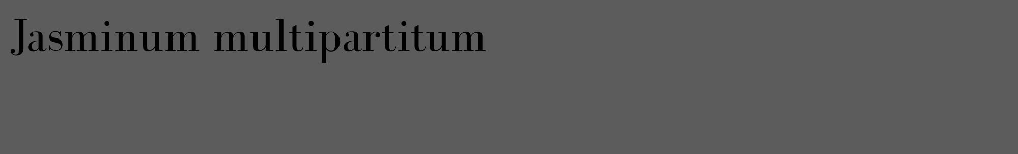 Étiquette de : Jasminum multipartitum - format c - style noire49_basique_basiquebod avec comestibilité