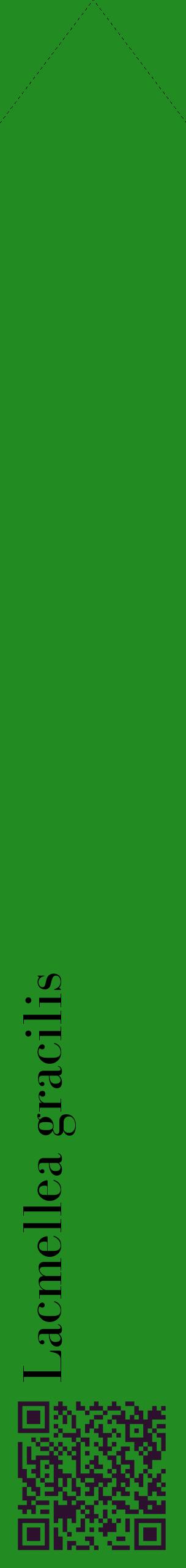 Étiquette de : Lacmellea gracilis - format c - style noire10_simplebod avec qrcode et comestibilité