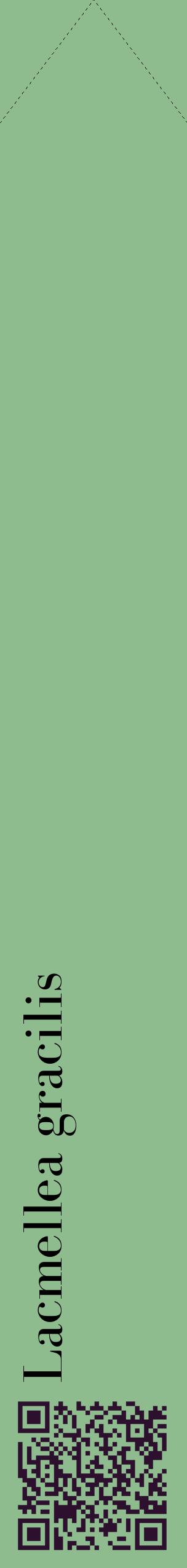 Étiquette de : Lacmellea gracilis - format c - style noire13_simplebod avec qrcode et comestibilité
