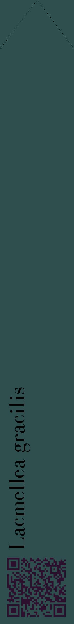 Étiquette de : Lacmellea gracilis - format c - style noire58_simplebod avec qrcode et comestibilité