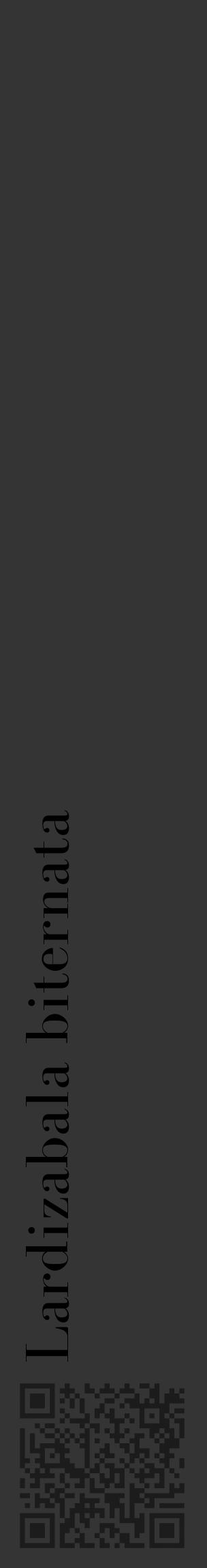 Étiquette de : Lardizabala biternata - format c - style noire46_basique_basiquebod avec qrcode et comestibilité - position verticale