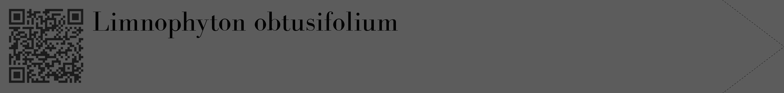 Étiquette de : Limnophyton obtusifolium - format c - style noire49_simple_simplebod avec qrcode et comestibilité
