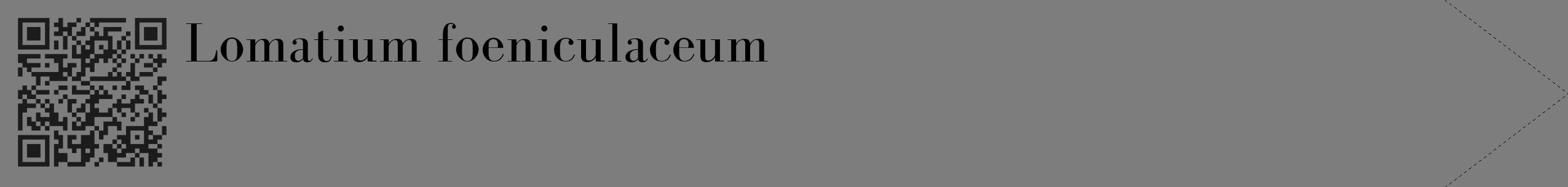 Étiquette de : Lomatium foeniculaceum - format c - style noire35_simple_simplebod avec qrcode et comestibilité