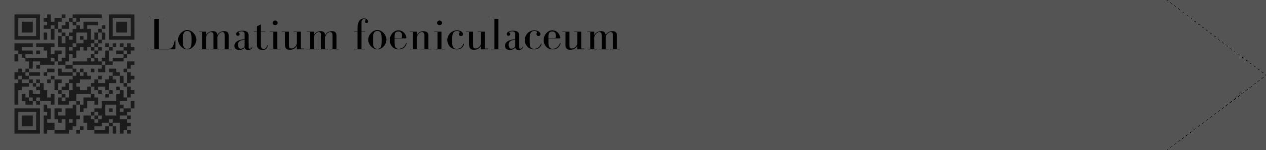 Étiquette de : Lomatium foeniculaceum - format c - style noire36_simple_simplebod avec qrcode et comestibilité