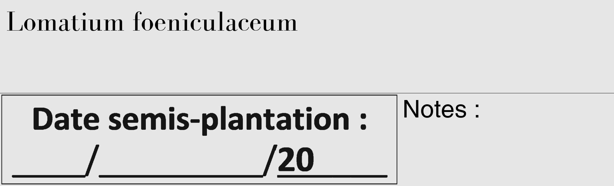 Étiquette de : Lomatium foeniculaceum - format c - style noire18_basique_basiquebod avec comestibilité