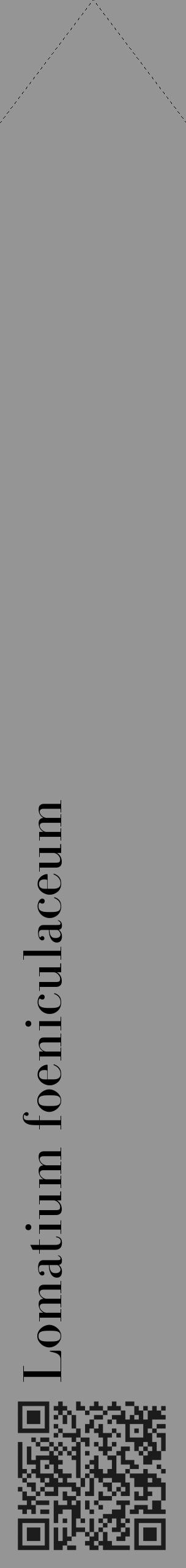 Étiquette de : Lomatium foeniculaceum - format c - style noire16_simple_simplebod avec qrcode et comestibilité - position verticale