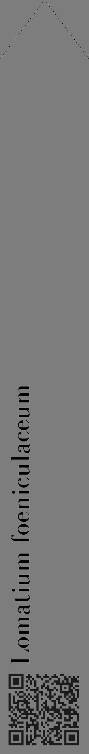 Étiquette de : Lomatium foeniculaceum - format c - style noire35_simple_simplebod avec qrcode et comestibilité - position verticale