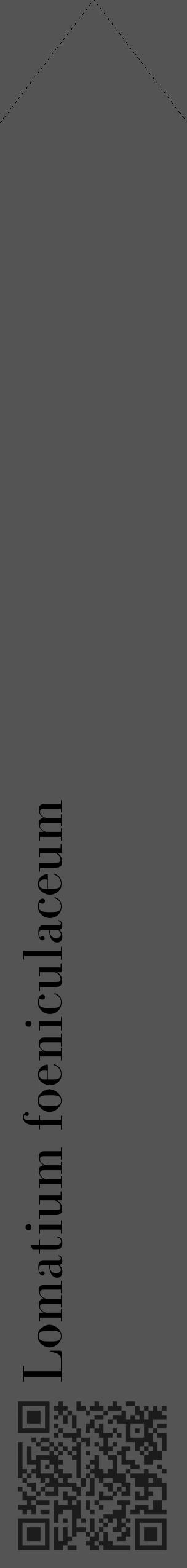 Étiquette de : Lomatium foeniculaceum - format c - style noire36_simple_simplebod avec qrcode et comestibilité - position verticale