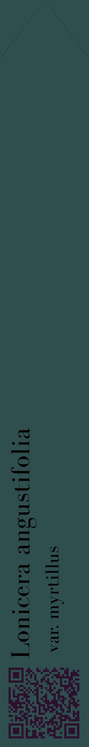 Étiquette de : Lonicera angustifolia var. myrtillus - format c - style noire58_simplebod avec qrcode et comestibilité