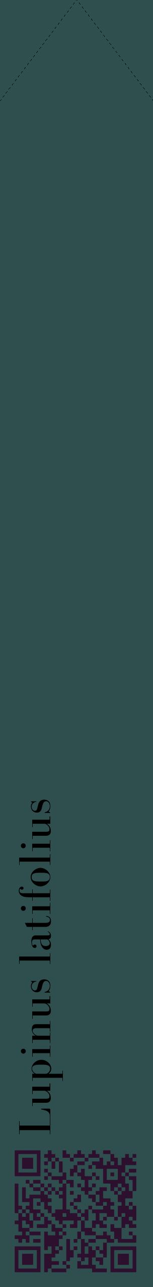 Étiquette de : Lupinus latifolius - format c - style noire58_simplebod avec qrcode et comestibilité