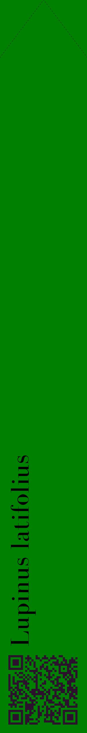 Étiquette de : Lupinus latifolius - format c - style noire9_simplebod avec qrcode et comestibilité