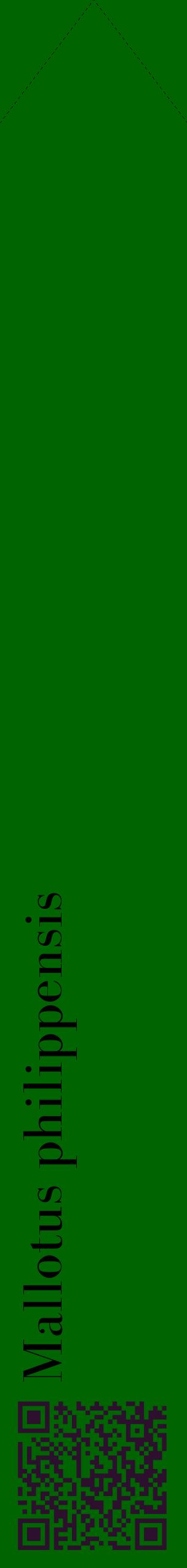 Étiquette de : Mallotus philippensis - format c - style noire8_simplebod avec qrcode et comestibilité