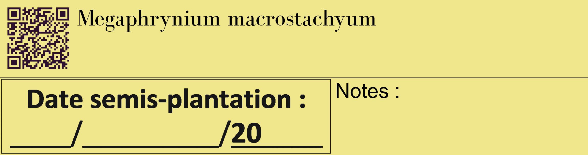 Étiquette de : Megaphrynium macrostachyum - format c - style noire20_basique_basiquebod avec qrcode et comestibilité