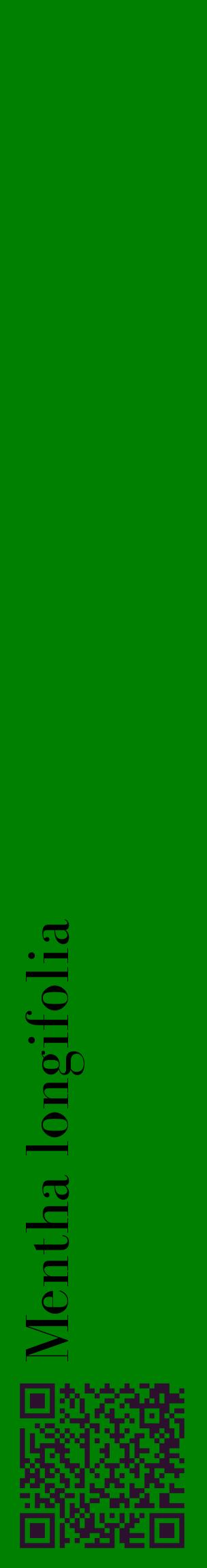 Étiquette de : Mentha longifolia - format c - style noire9_basiquebod avec qrcode et comestibilité