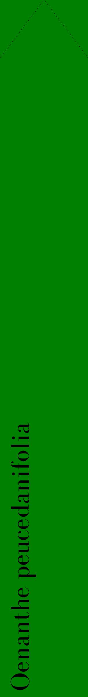 Étiquette de : Oenanthe peucedanifolia - format c - style noire9_simplebod avec comestibilité