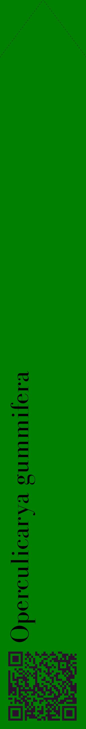Étiquette de : Operculicarya gummifera - format c - style noire9_simplebod avec qrcode et comestibilité