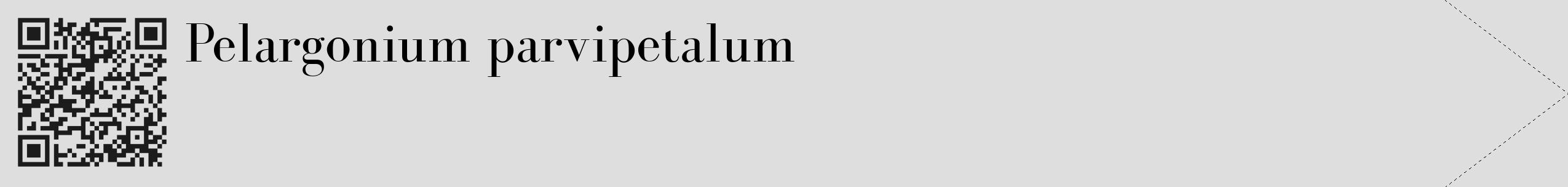 Étiquette de : Pelargonium parvipetalum - format c - style noire20_simple_simplebod avec qrcode et comestibilité