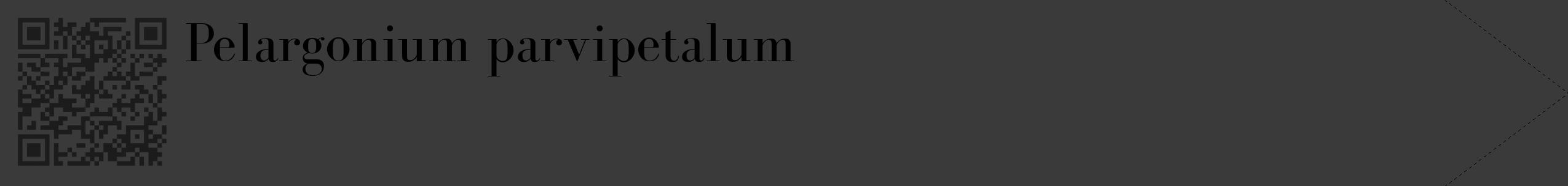 Étiquette de : Pelargonium parvipetalum - format c - style noire8_simple_simplebod avec qrcode et comestibilité