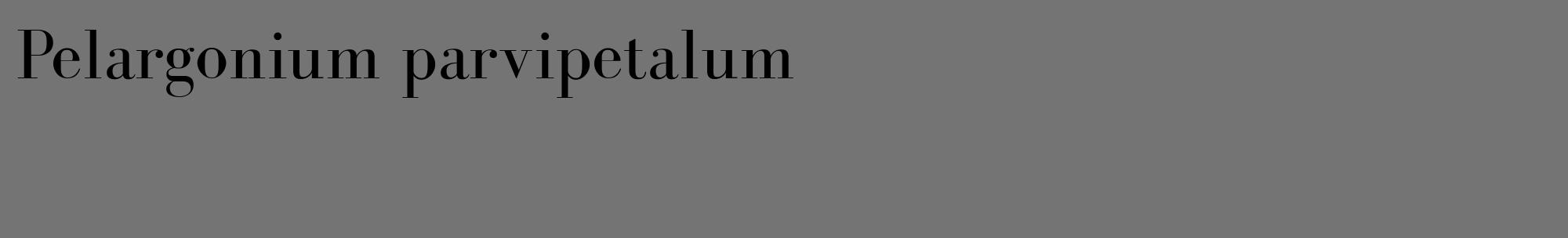 Étiquette de : Pelargonium parvipetalum - format c - style noire26_basique_basiquebod avec comestibilité
