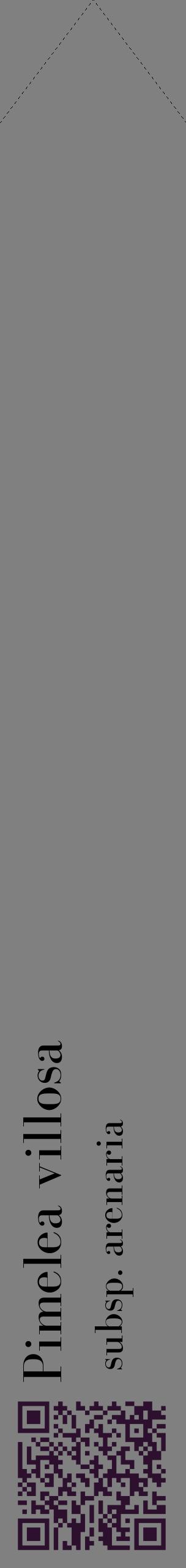 Étiquette de : Pimelea villosa subsp. arenaria - format c - style noire57_simplebod avec qrcode et comestibilité