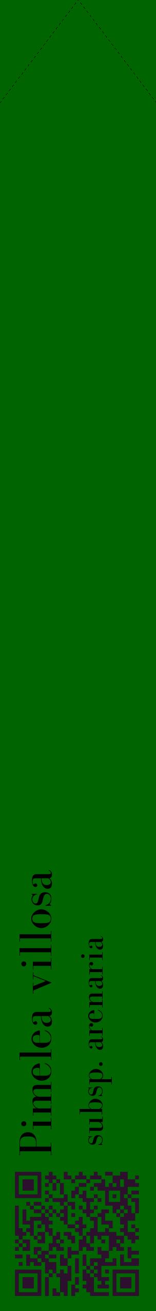 Étiquette de : Pimelea villosa subsp. arenaria - format c - style noire8_simplebod avec qrcode et comestibilité