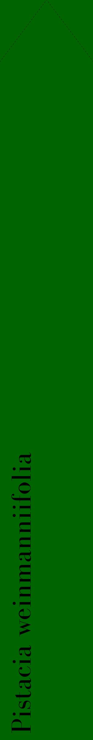 Étiquette de : Pistacia weinmanniifolia - format c - style noire8_simplebod avec comestibilité