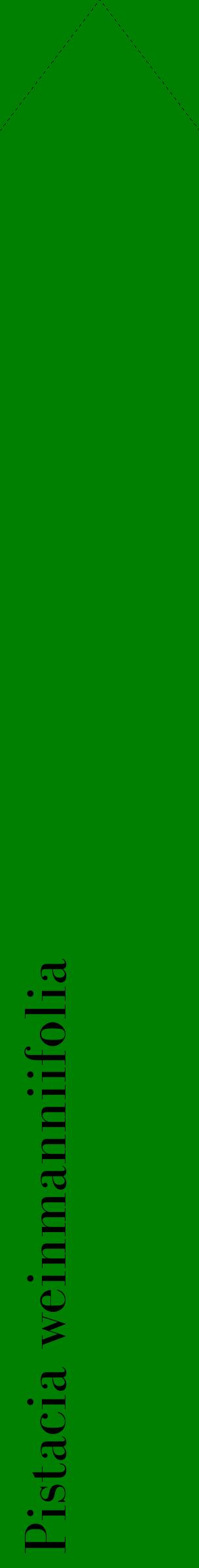 Étiquette de : Pistacia weinmanniifolia - format c - style noire9_simplebod avec comestibilité