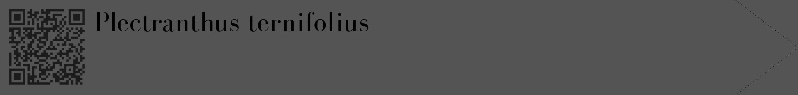 Étiquette de : Plectranthus ternifolius - format c - style noire36_simple_simplebod avec qrcode et comestibilité