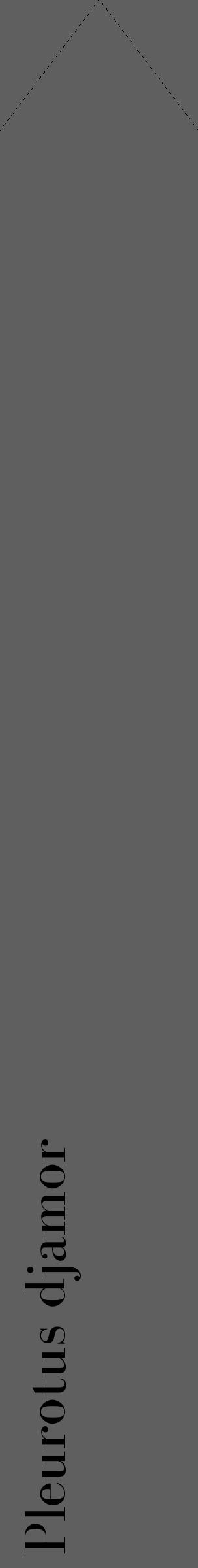 Étiquette de : Pleurotus djamor - format c - style noire10_simple_simplebod avec comestibilité - position verticale