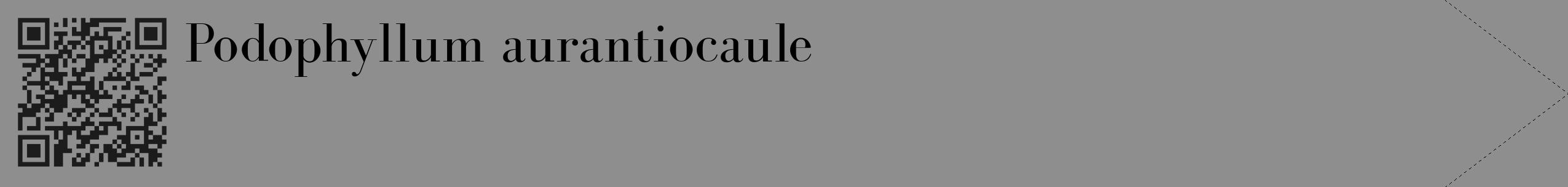 Étiquette de : Podophyllum aurantiocaule - format c - style noire25_simple_simplebod avec qrcode et comestibilité