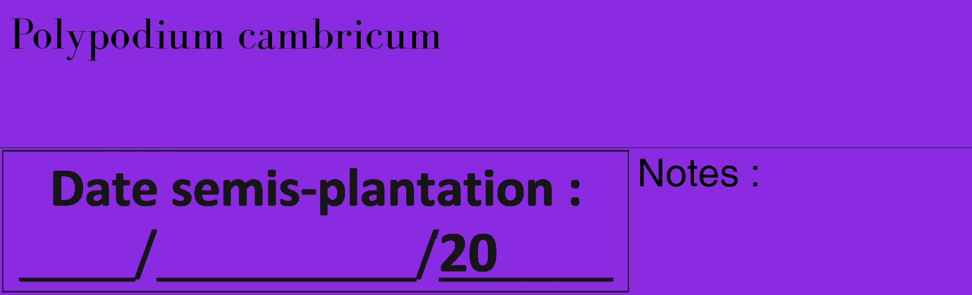 Étiquette de : Polypodium cambricum - format c - style noire49_basique_basiquebod avec comestibilité