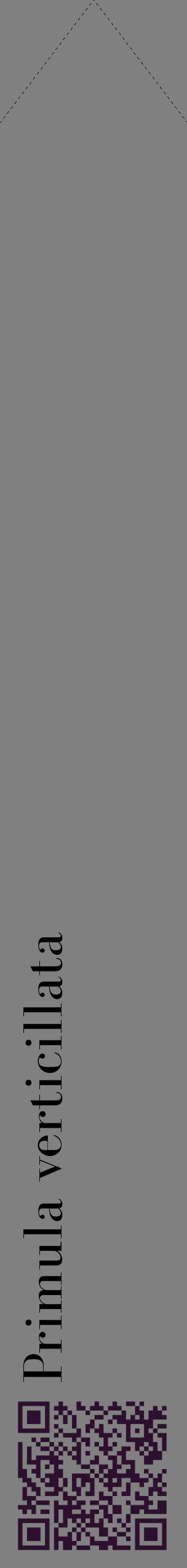 Étiquette de : Primula verticillata - format c - style noire57_simplebod avec qrcode et comestibilité