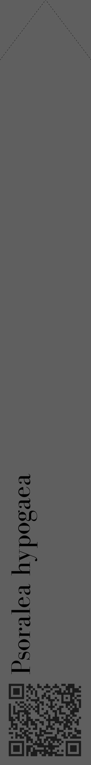 Étiquette de : Psoralea hypogaea - format c - style noire10_simple_simplebod avec qrcode et comestibilité - position verticale